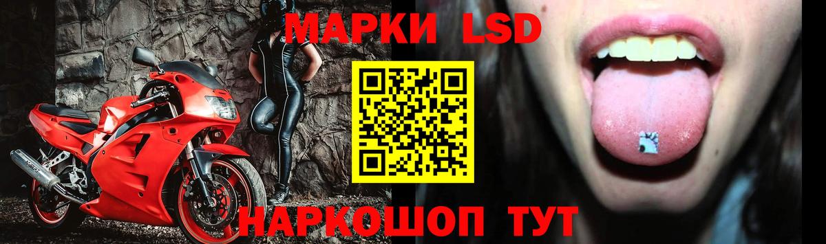 Кокаин Владимир