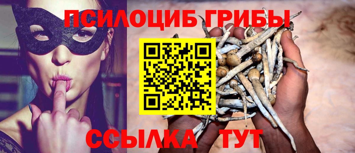 Псилоцибиновые грибы ЛСД Владимир